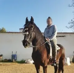 Lucía, 31 años
